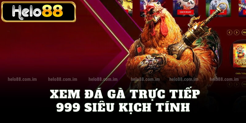 Xem đá gà trực tiếp 999 siêu kịch tính