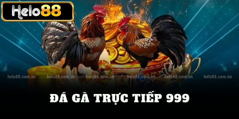 Đá gà trực tiếp 999