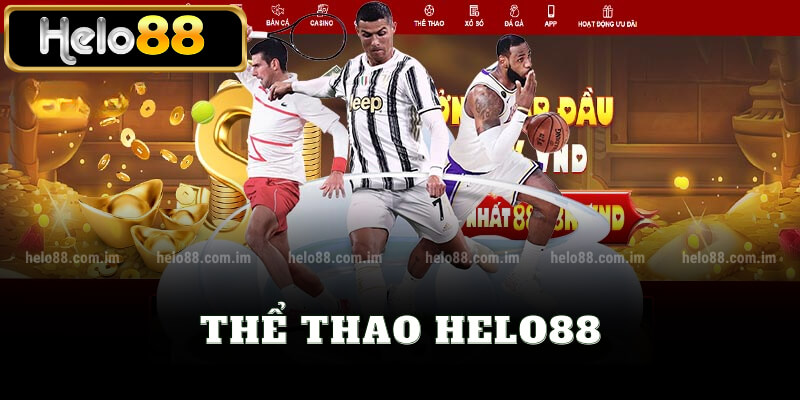 Thể thao helo88